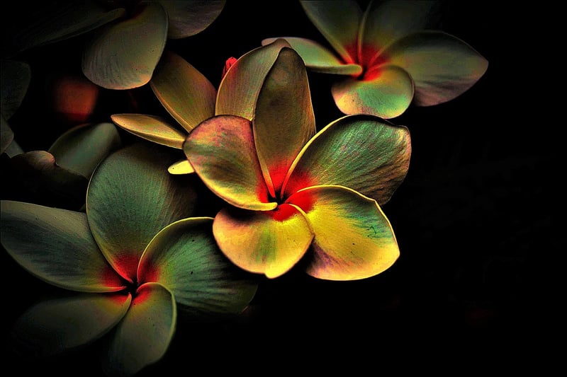 Quantum Information Image